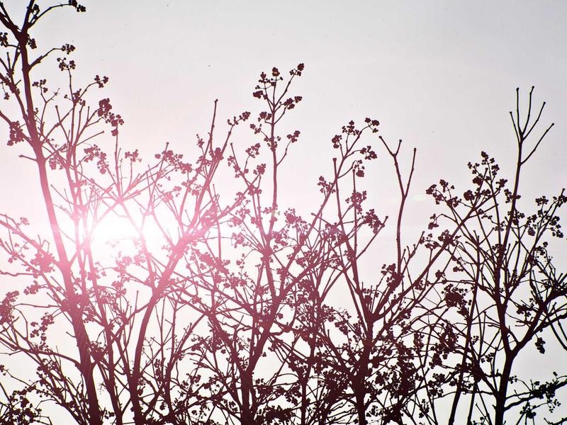 sudoku learning tool screenshot 3