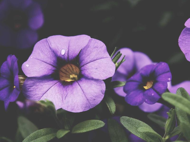 sudoku tablet version screenshot 4